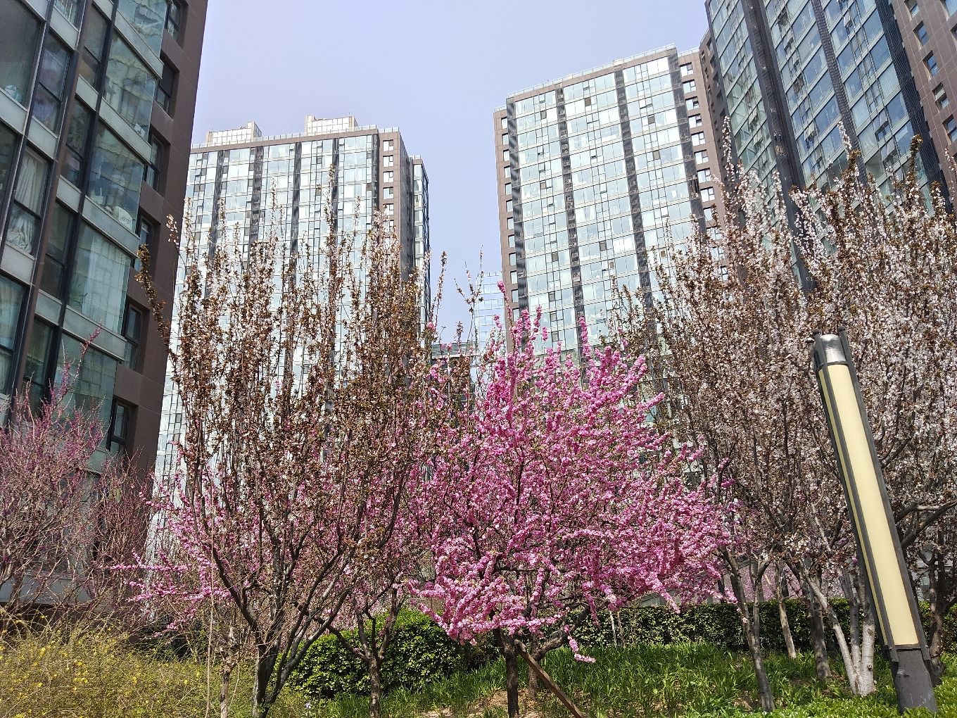 强佑清河新城府学上院 - Beijing property leasing for expats