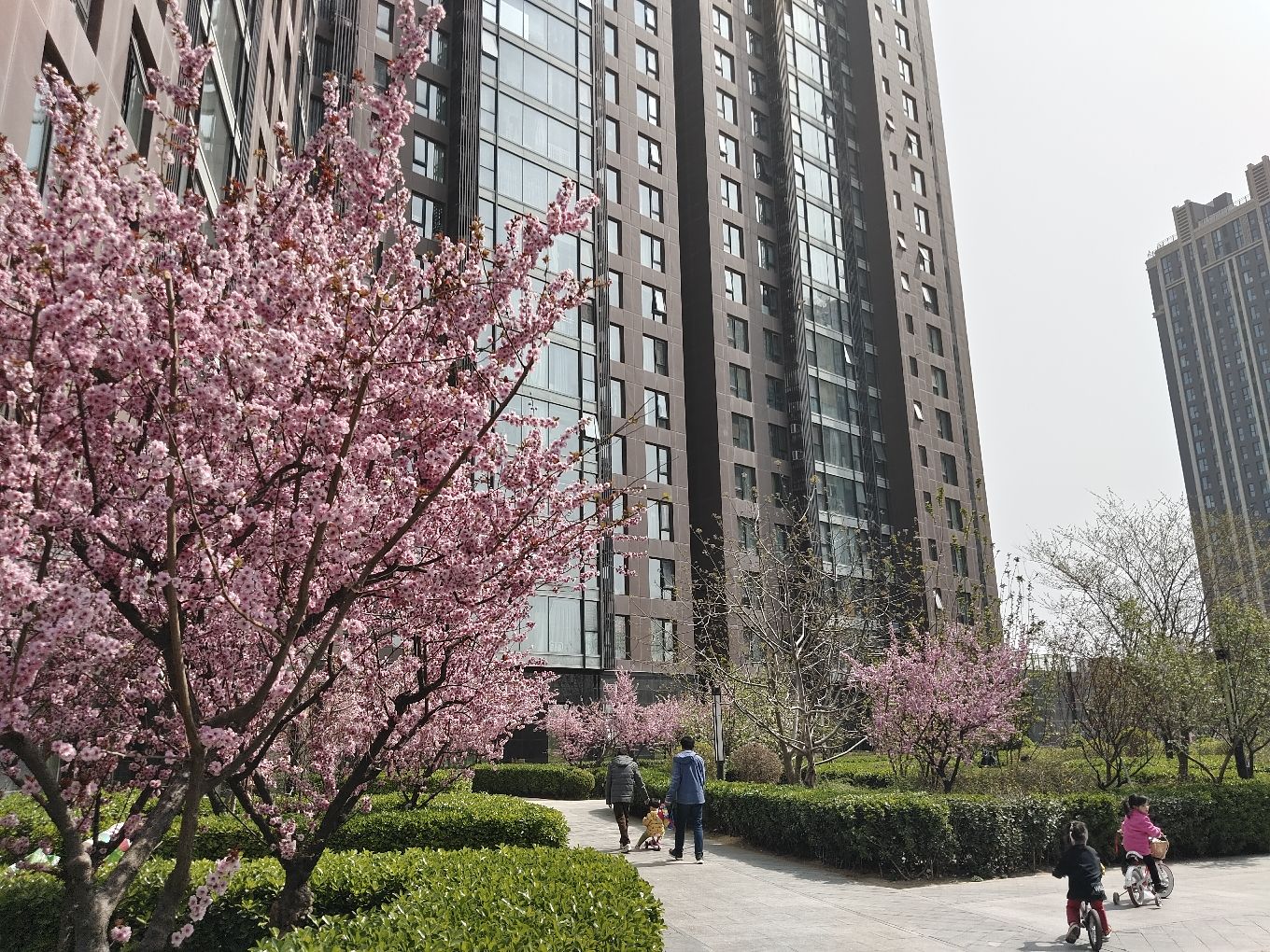 强佑清河新城府学上院 - Beijing property leasing for expats