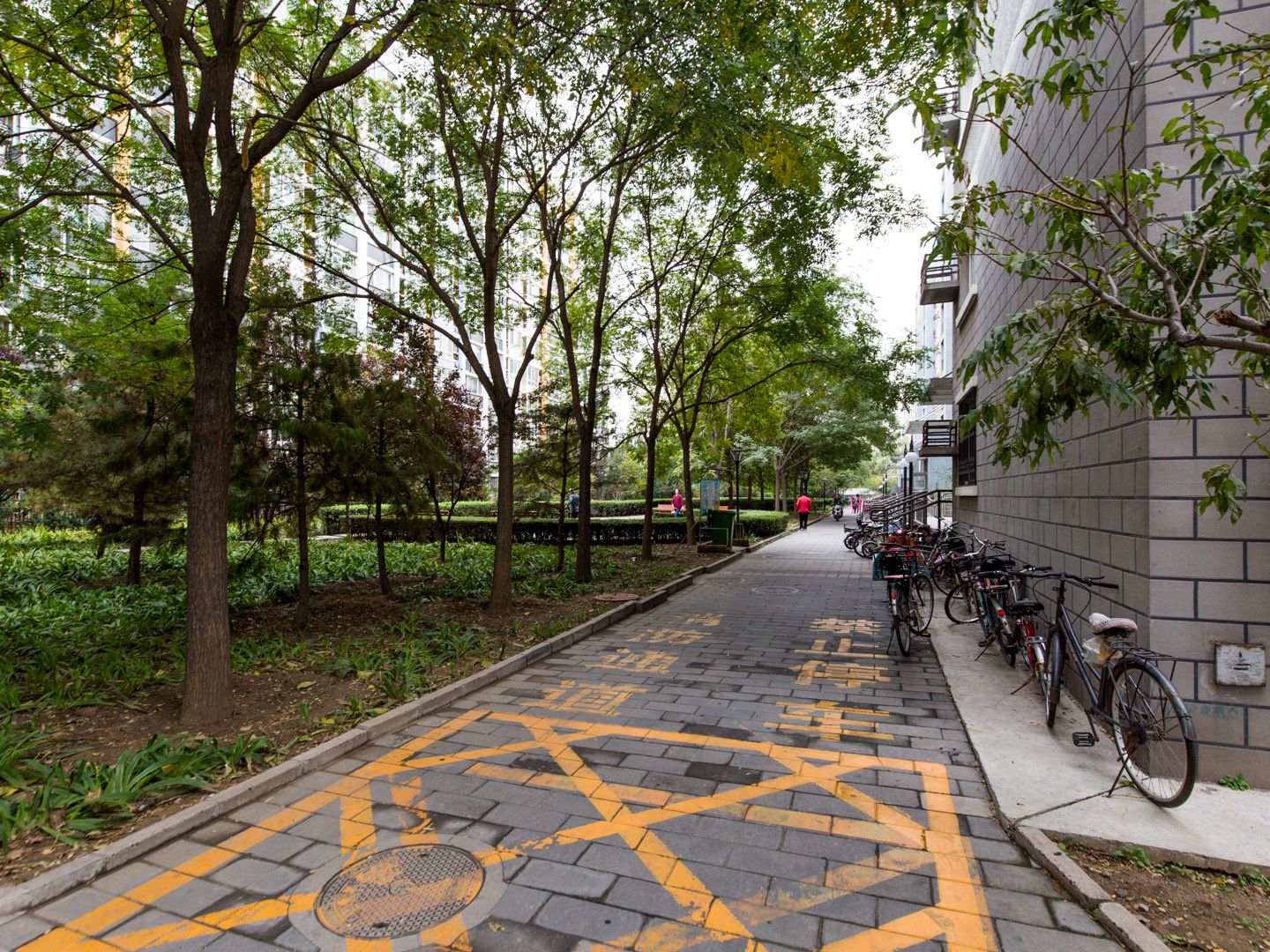 Qingshang Yuan - beijing expat housing photo 3