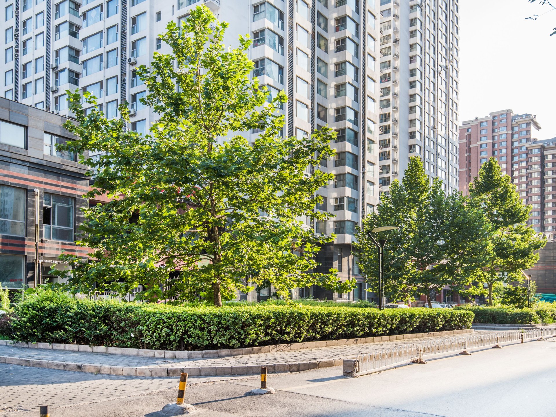 荣丰2008 - Beijing property leasing for expats