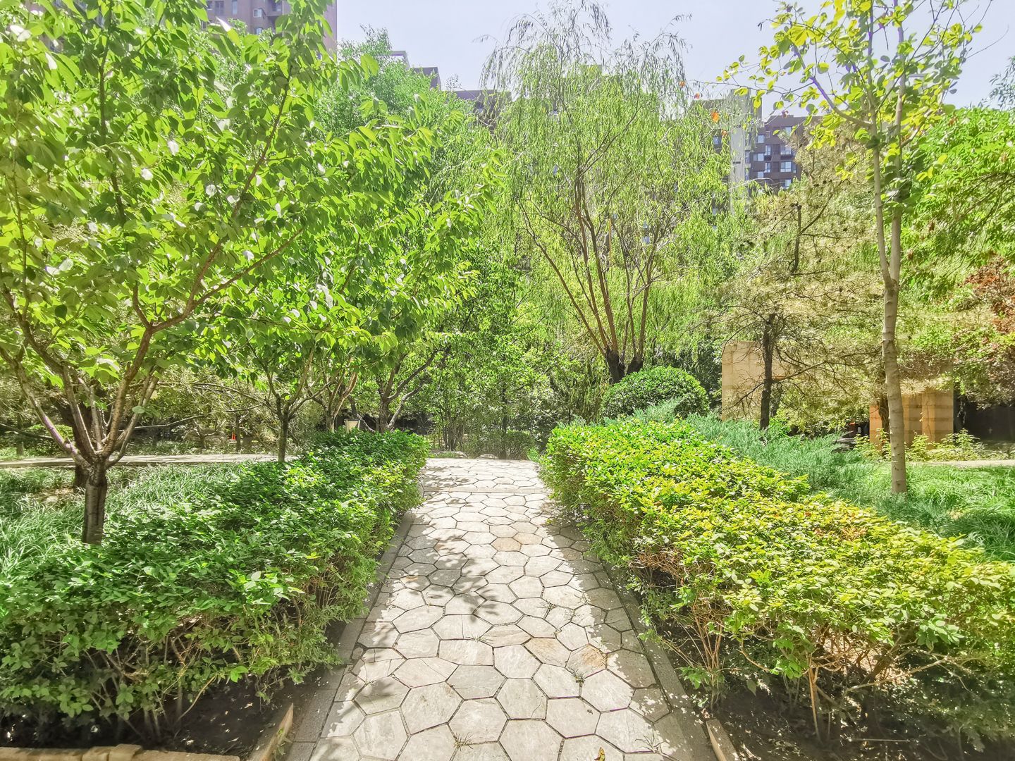 融科橄榄城二期 - Beijing property leasing for expats