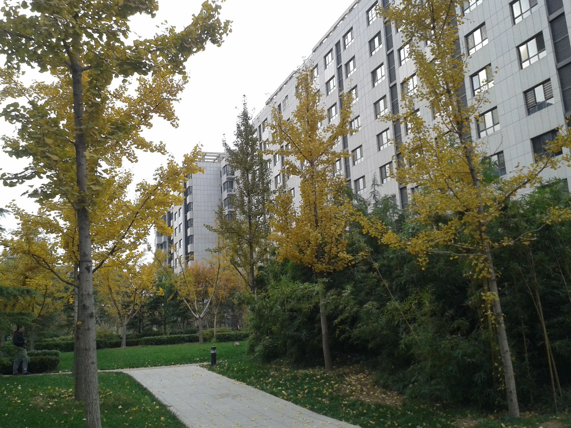 润枫锦尚 - Beijing property leasing for expats