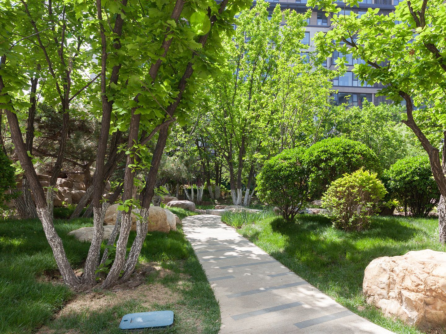 Ruyuan North District - beijing expat housing photo 6