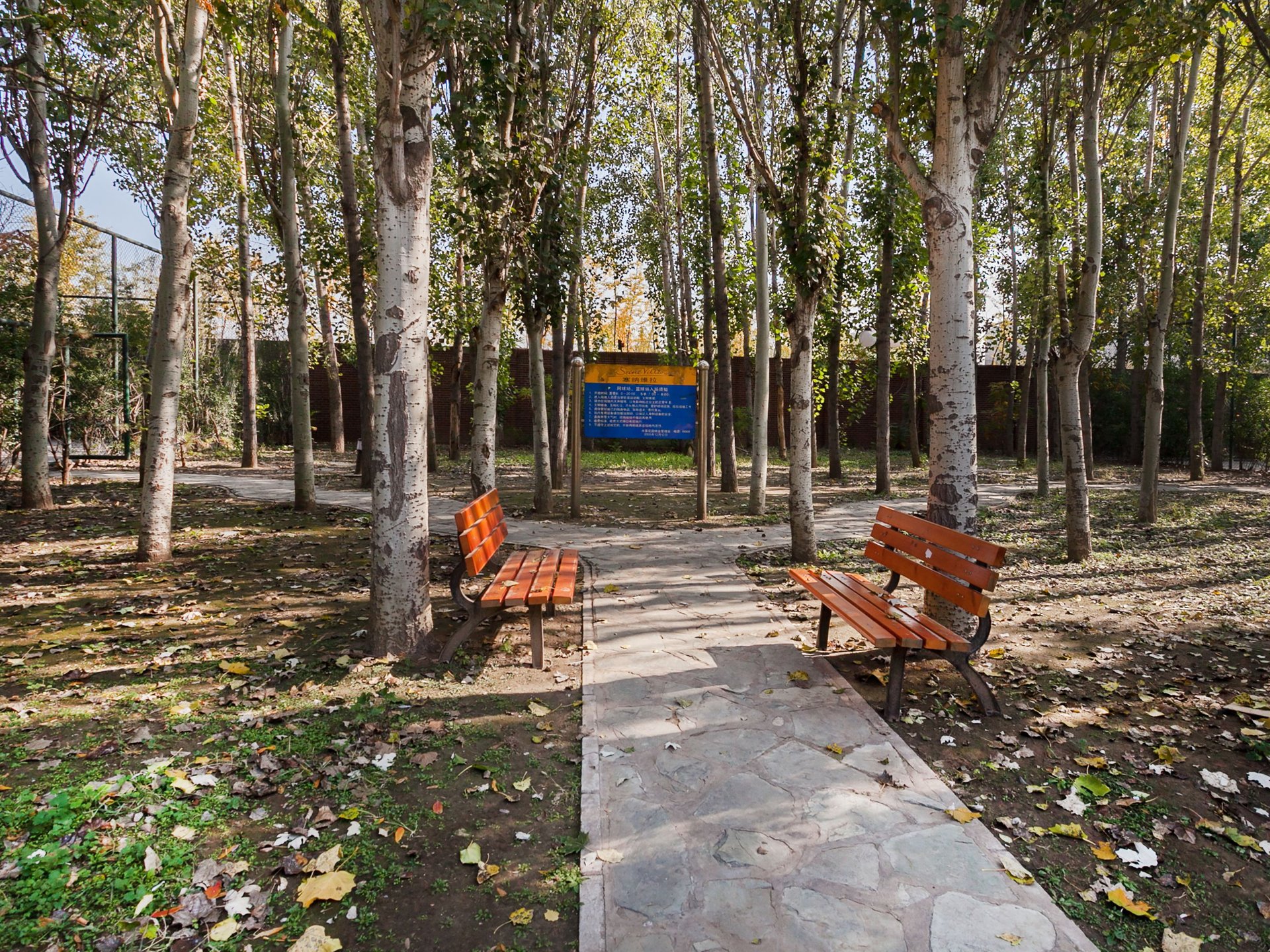 塞纳维拉 - Beijing property leasing for expats