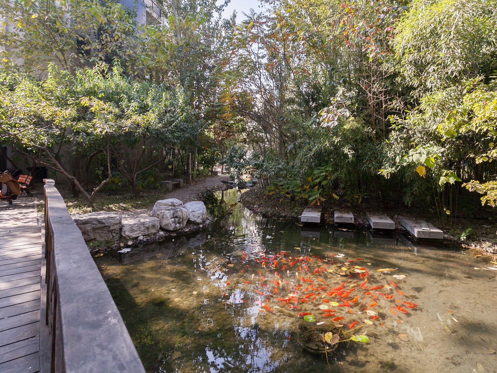 塞纳维拉 - Beijing property leasing for expats