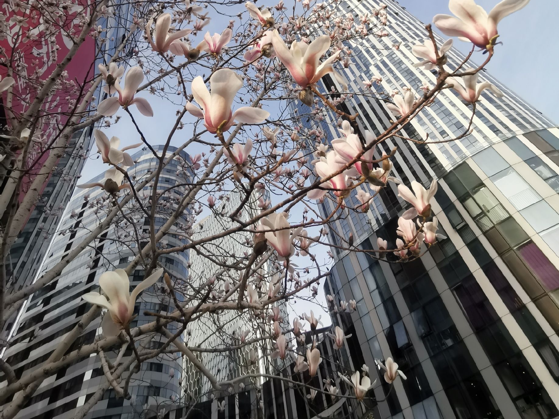 三里屯SOHO - Beijing property leasing for expats