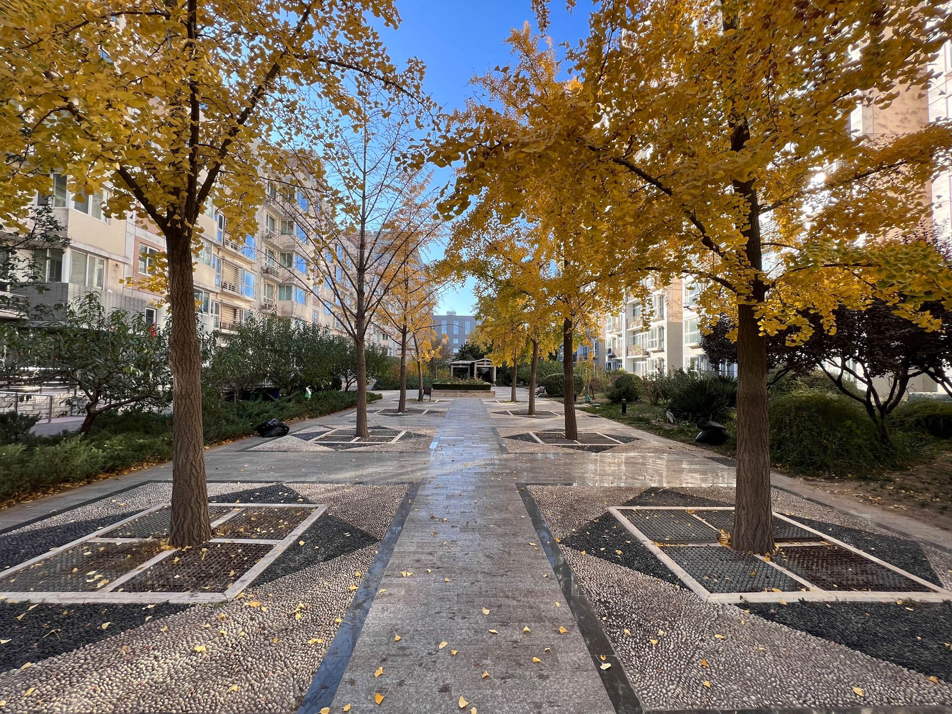 胜古馨园 - Beijing property leasing for expats