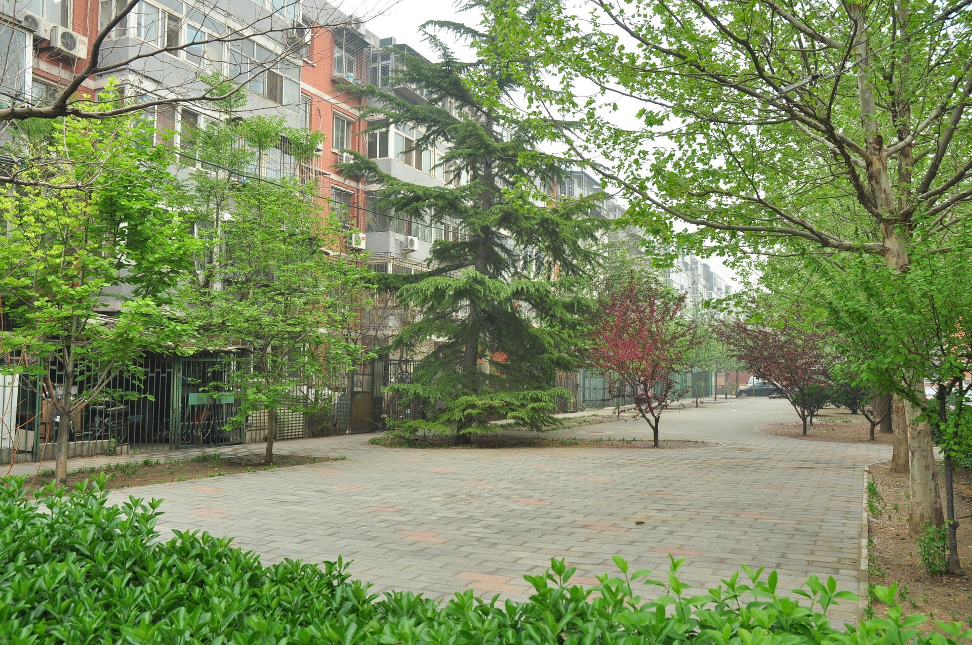 十里堡北里 - Beijing property leasing for expats