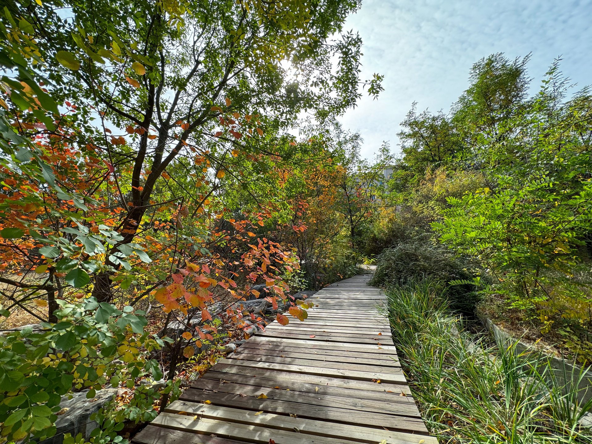 首创澜茵山二期 - Beijing property leasing for expats