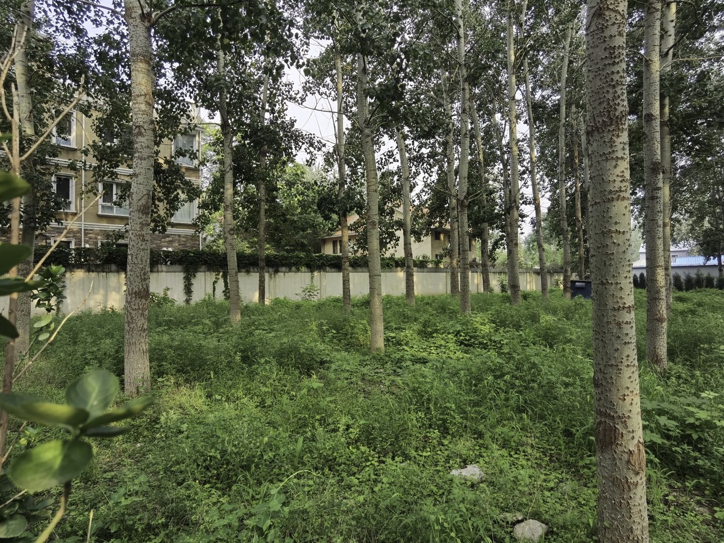 太利花园 - Beijing property leasing for expats