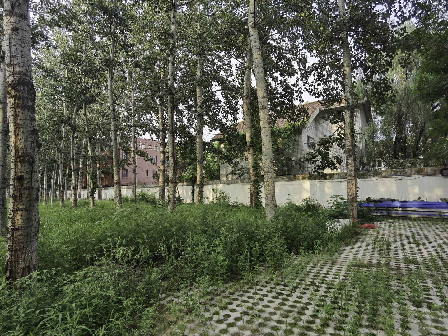 太利花园 - Beijing property leasing for expats