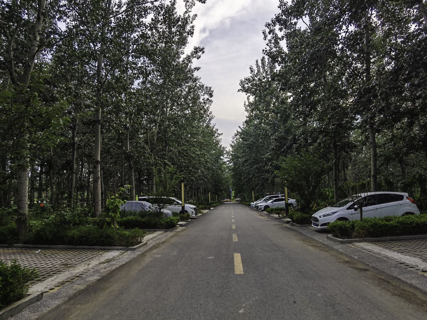 太利花园 - Beijing property leasing for expats