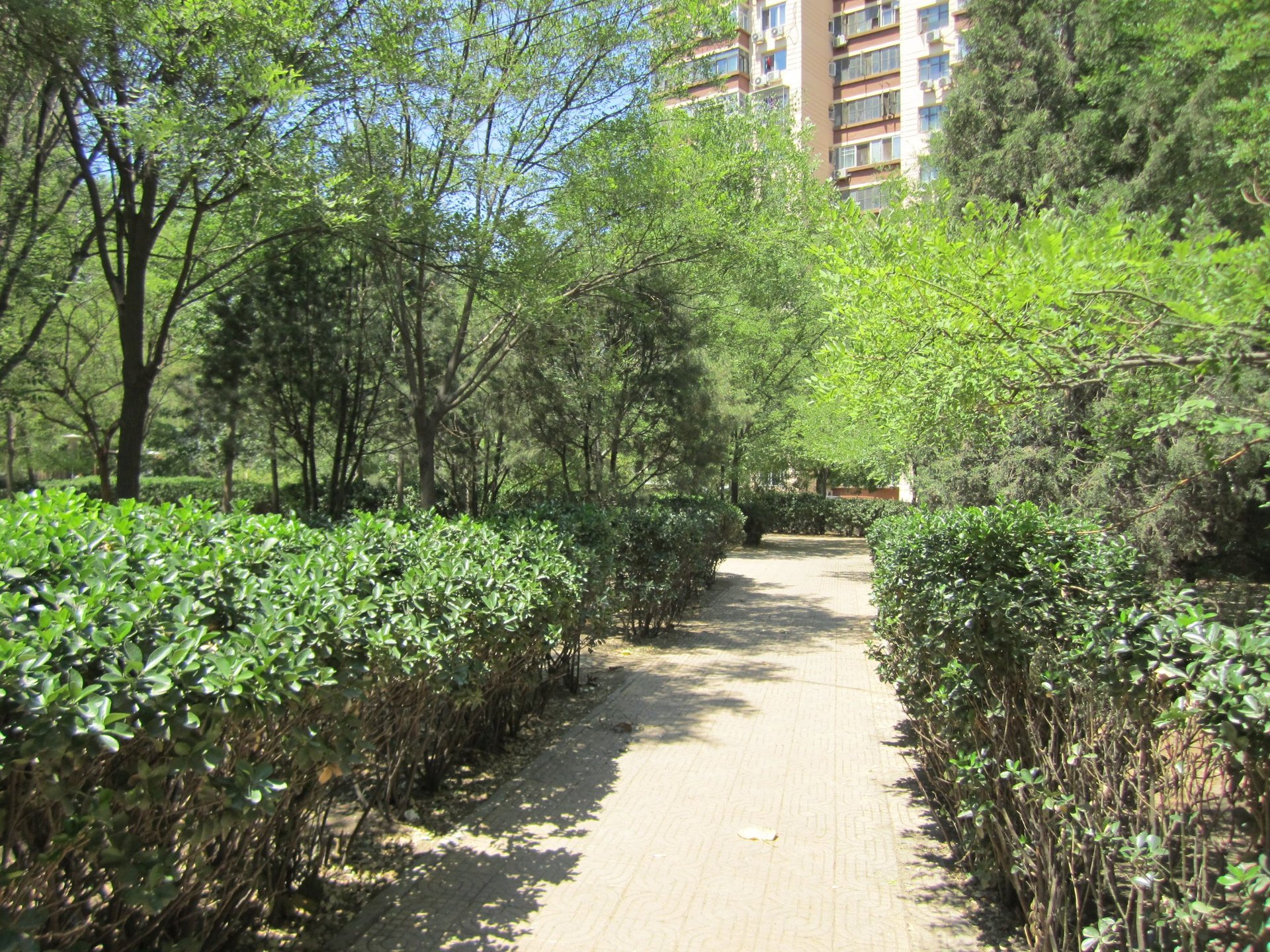 太平桥西里 - Beijing property leasing for expats