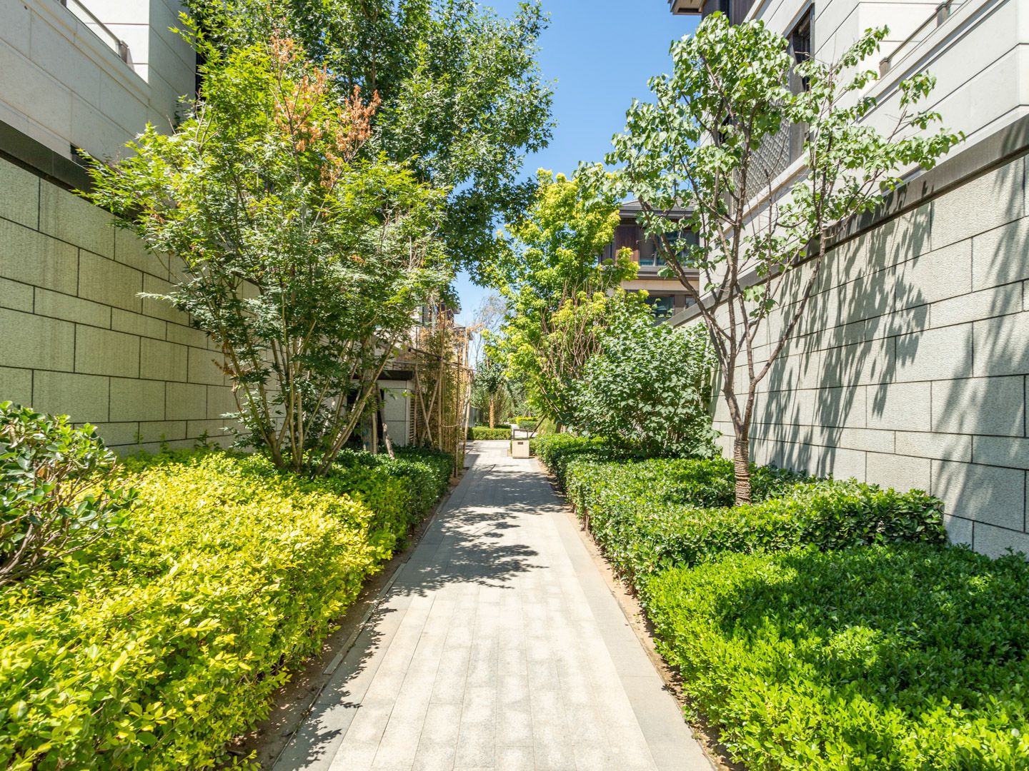 Tang Song Villas - beijing expat housing photo 7