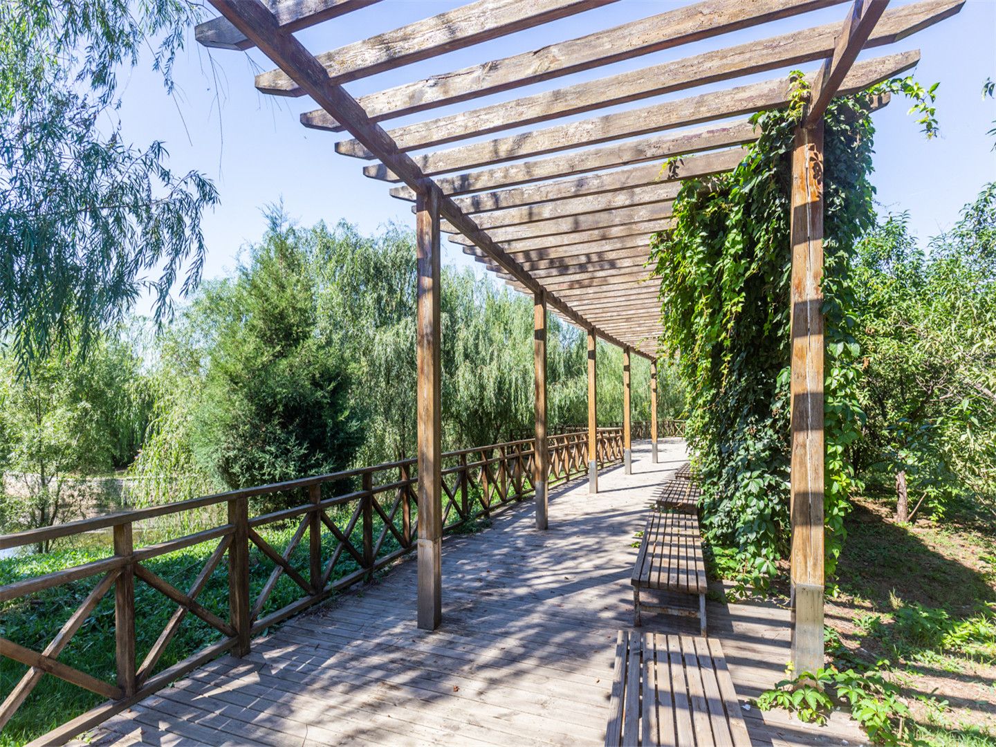 Swan Castle - beijing expat housing photo 12