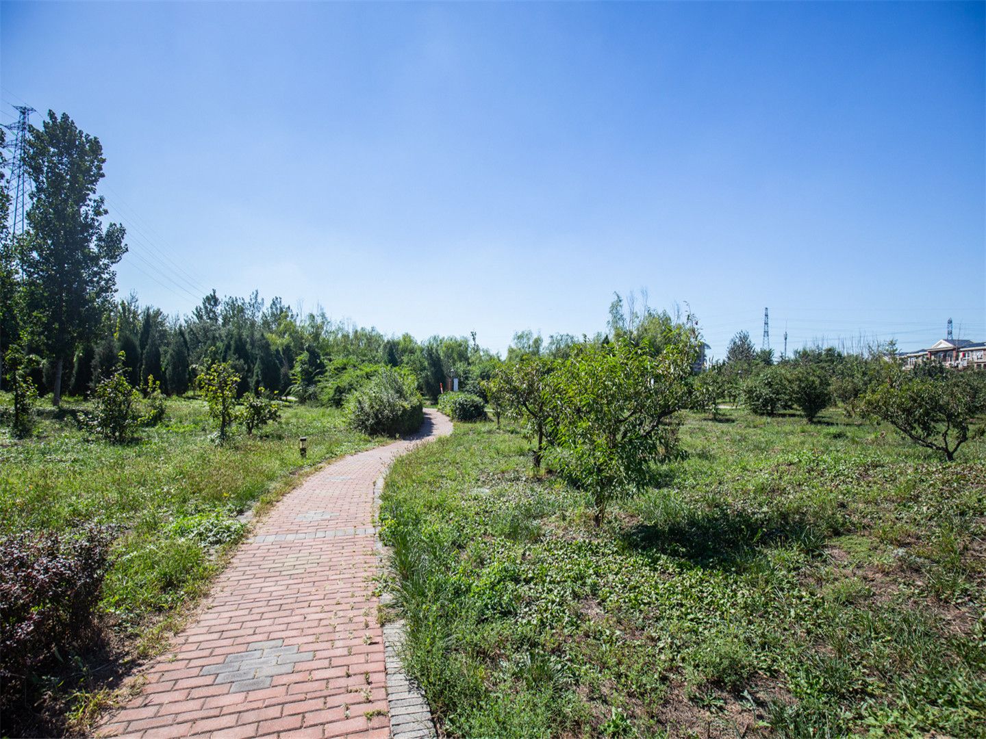 Swan Castle - beijing expat housing photo 14