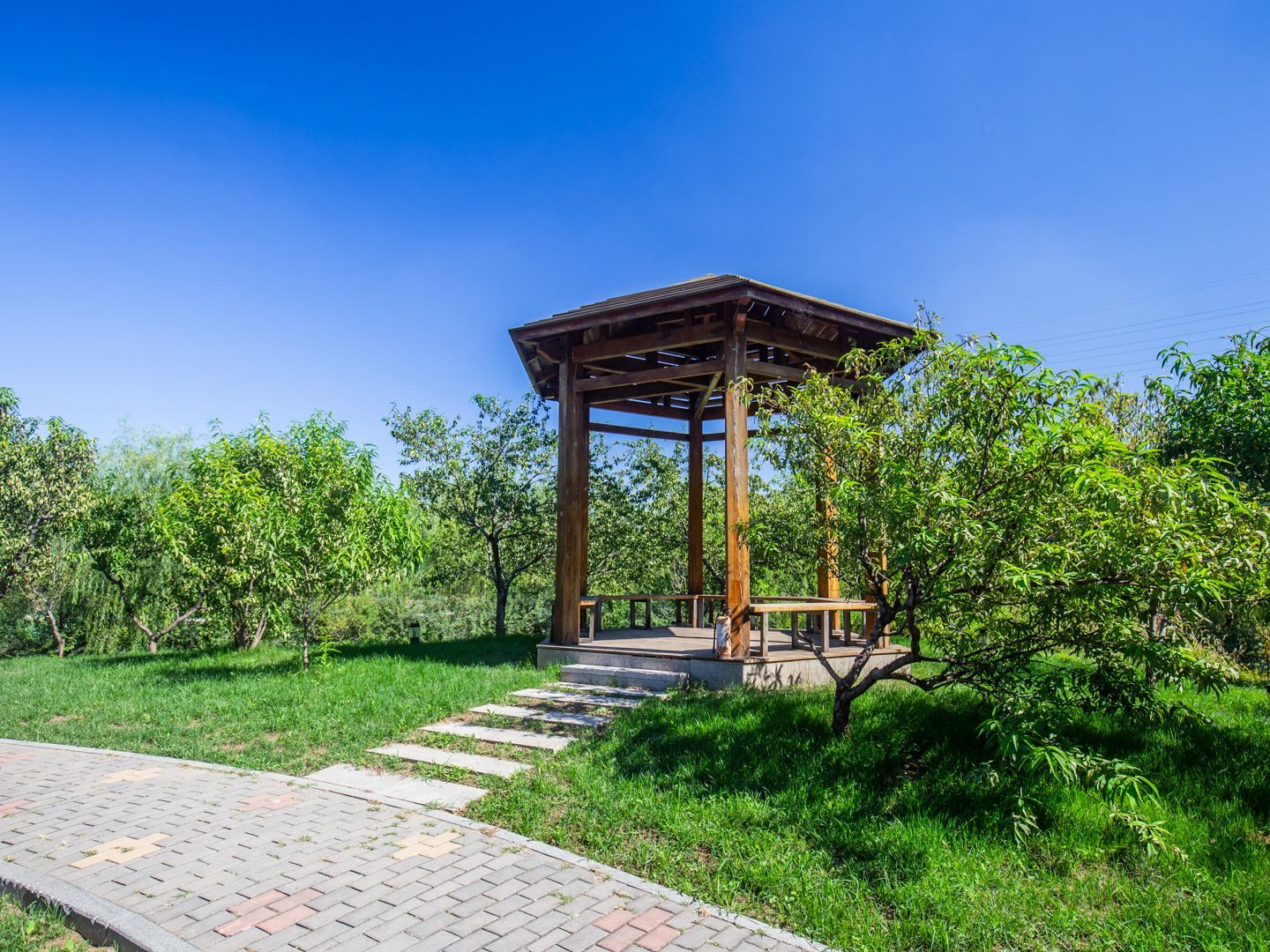 Swan Castle - beijing expat housing photo 17