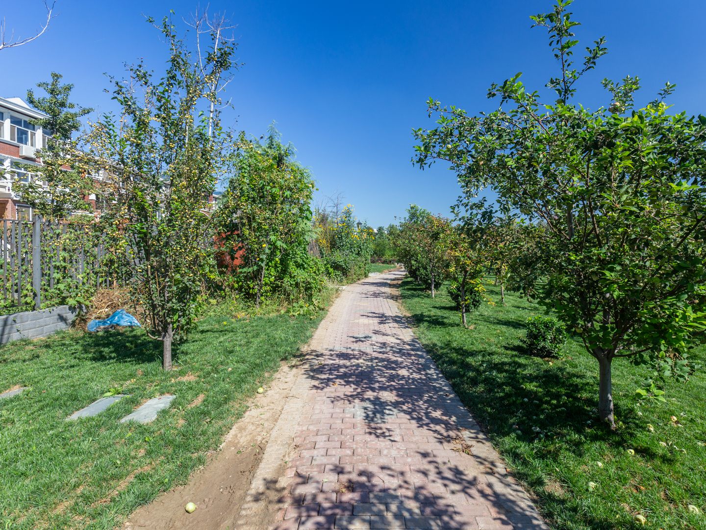 Swan Castle - beijing expat housing photo 18