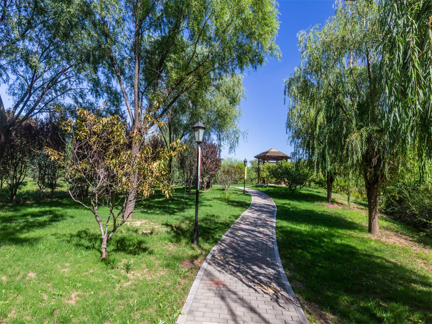 Swan Castle - beijing expat housing photo 8