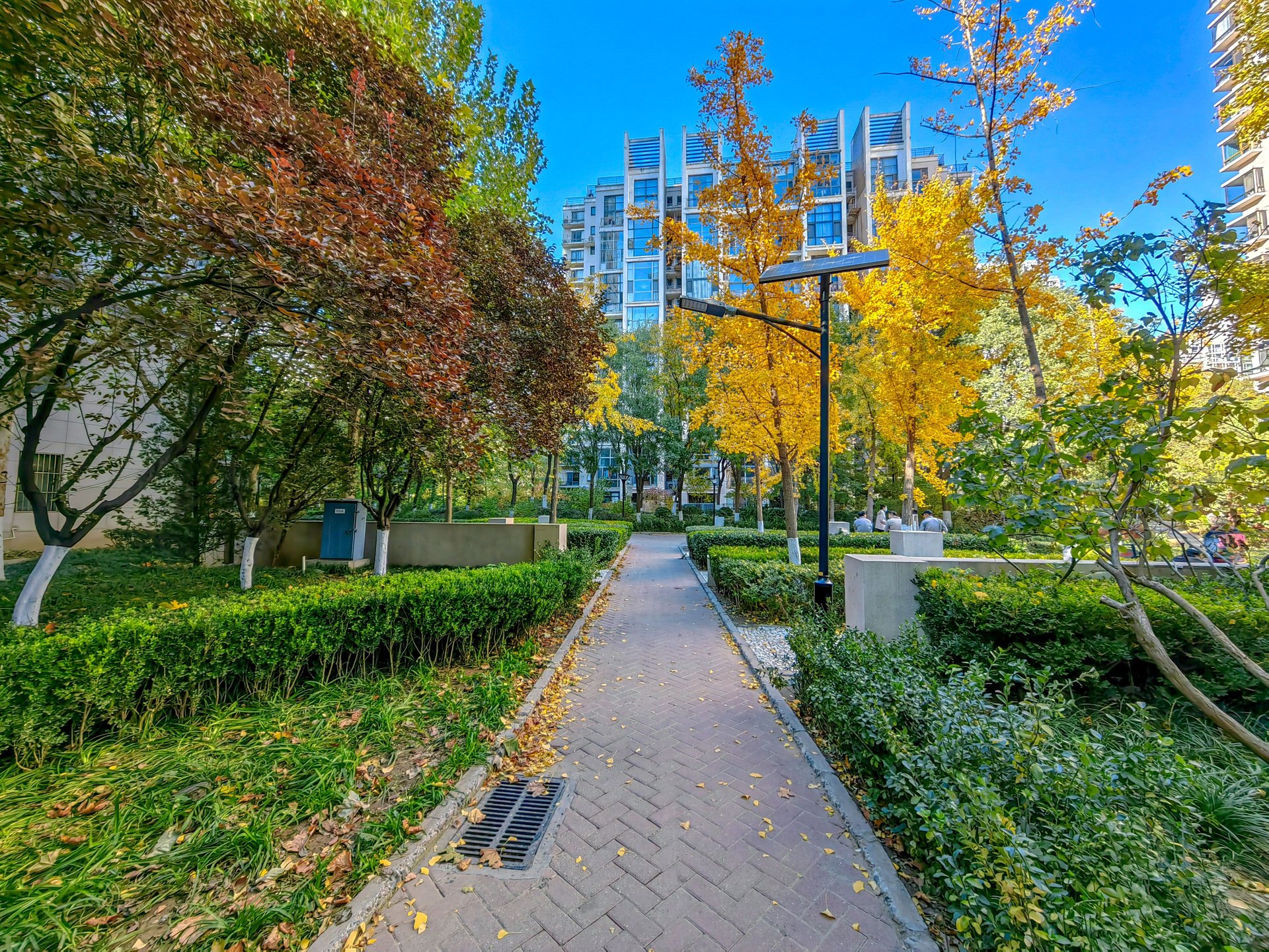 天鹅湾北区 - Beijing property leasing for expats