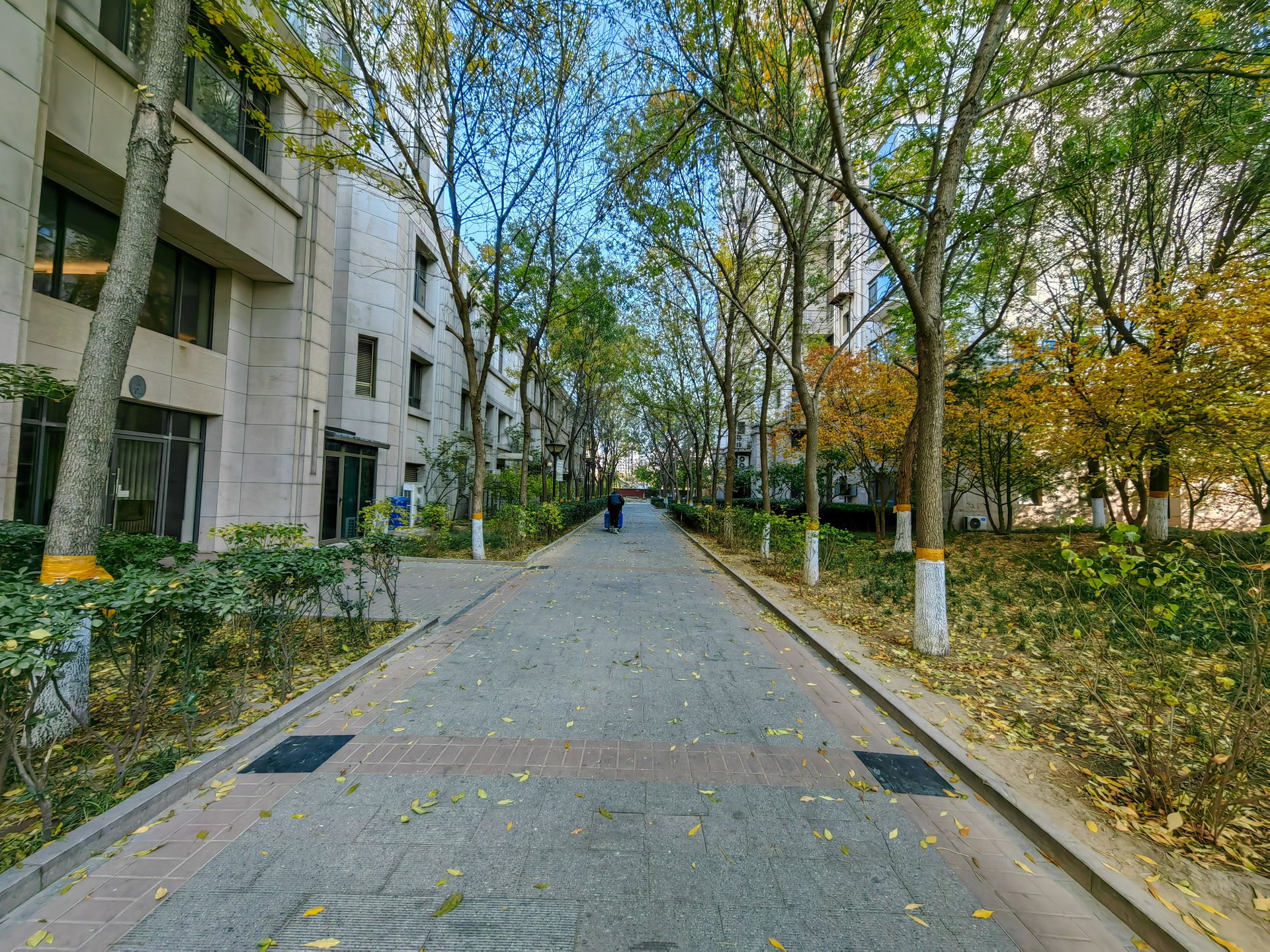 天鹅湾南区 - Beijing property leasing for expats