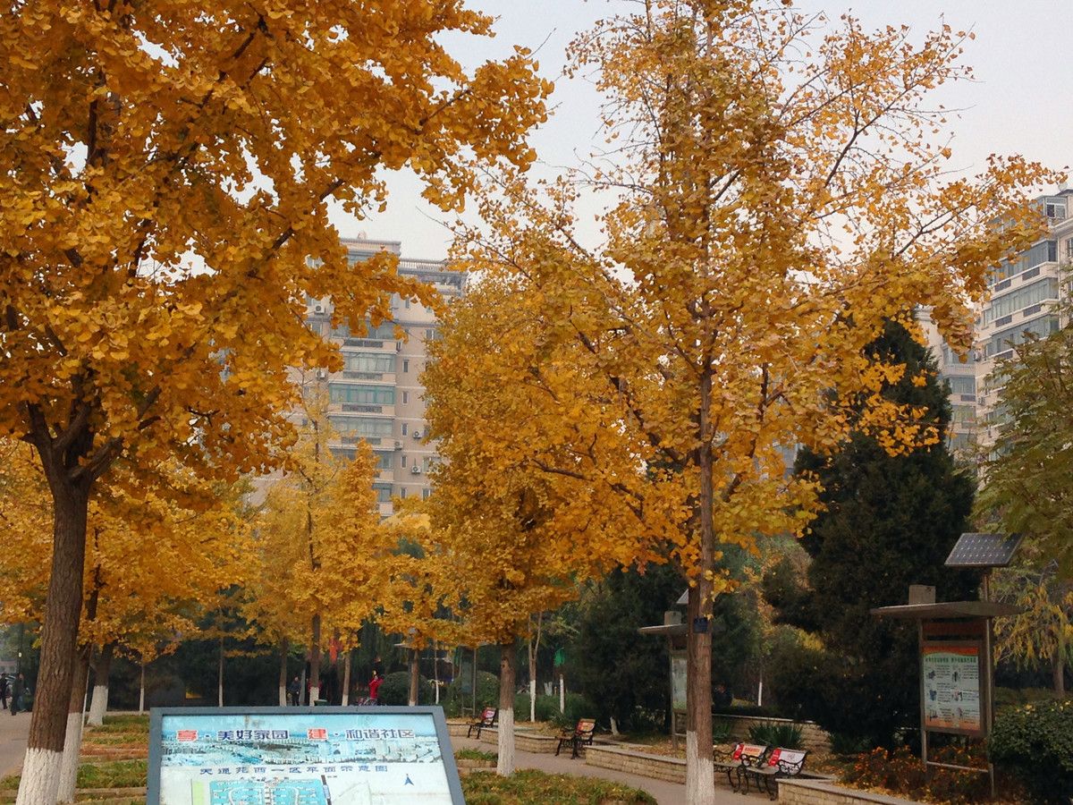 天通西苑一区 - Beijing property leasing for expats