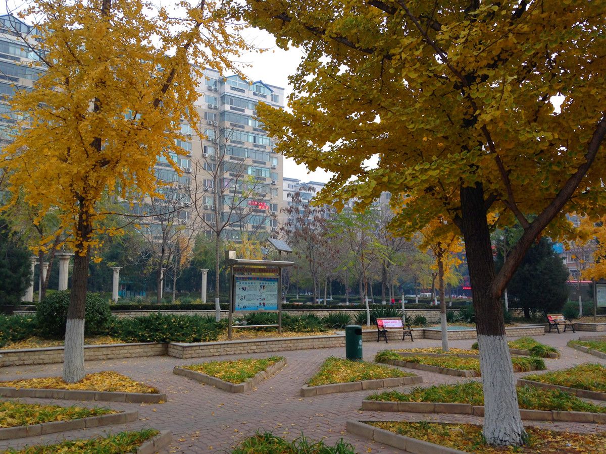 天通西苑一区 - Beijing property leasing for expats