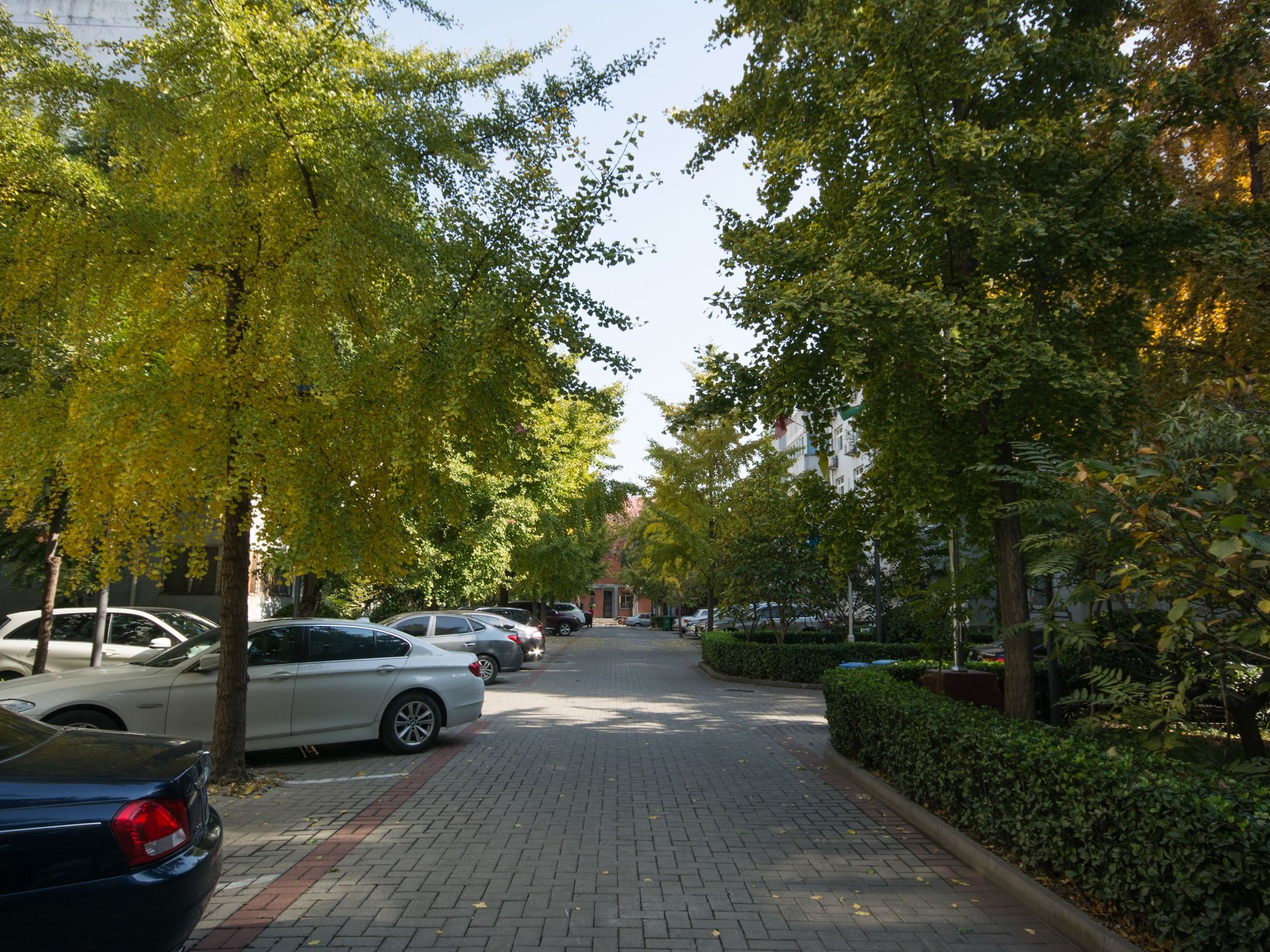 铁二区 - Beijing property leasing for expats