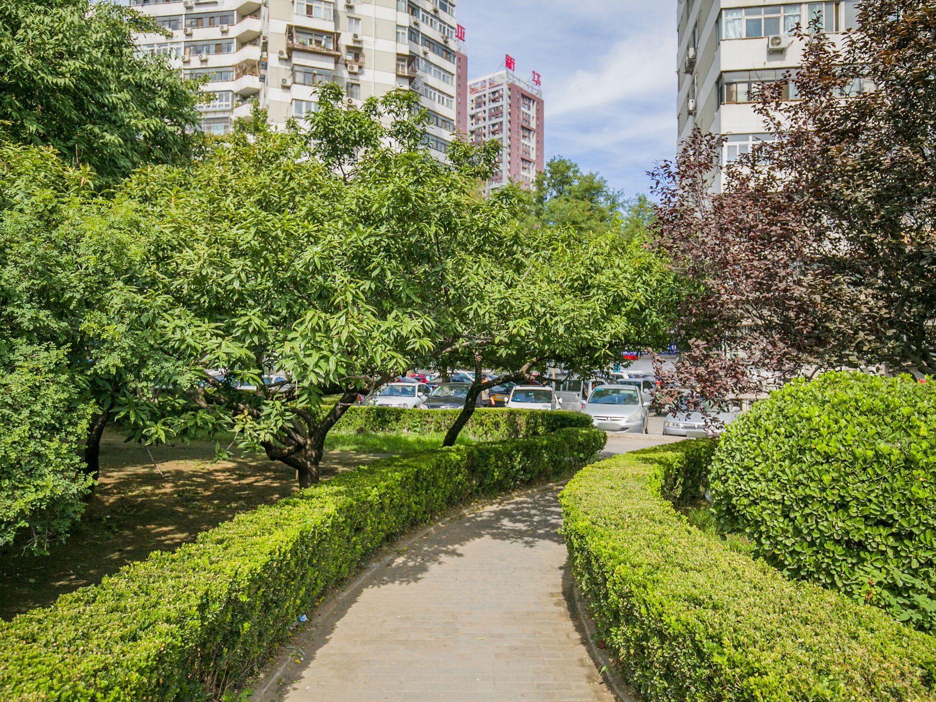 望花路西里 - Beijing property leasing for expats