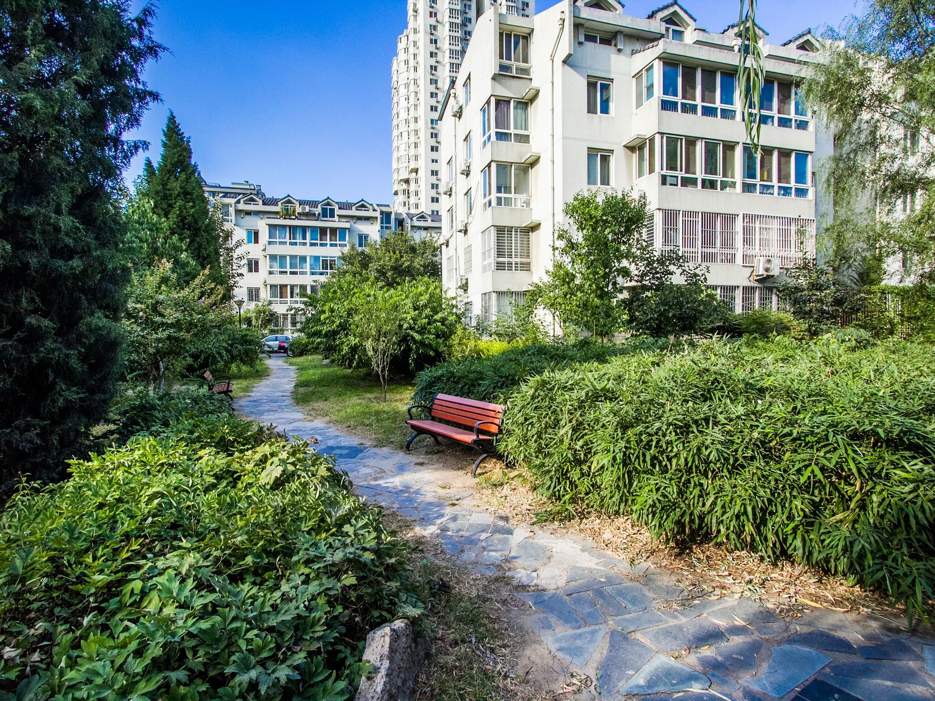 望京花园西区 - Beijing property leasing for expats