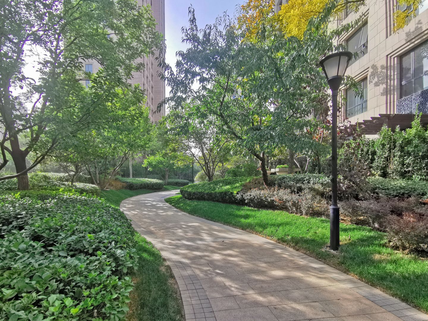 望京金茂府 - Beijing property leasing for expats