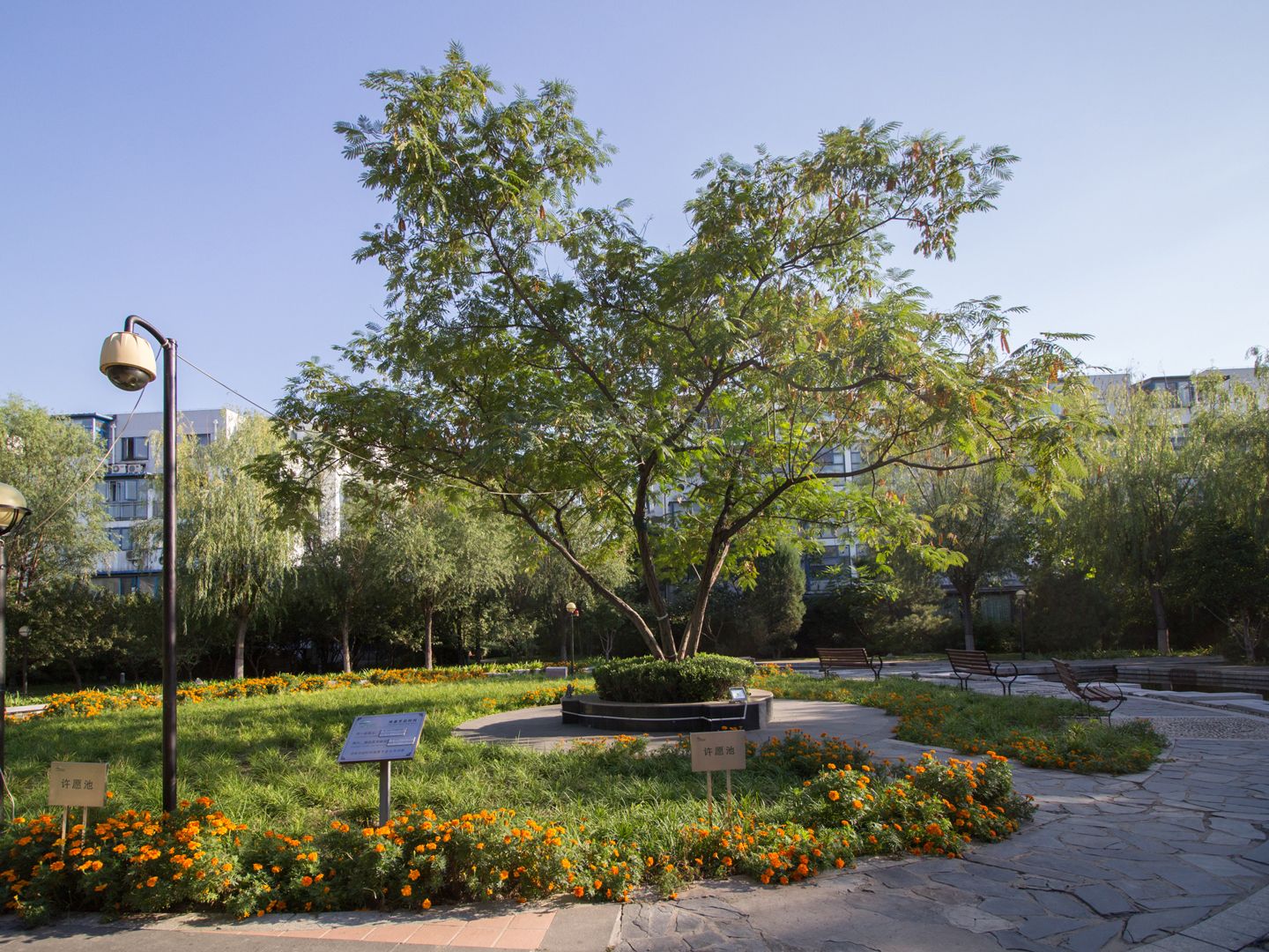 万科青青家园 - Beijing property leasing for expats