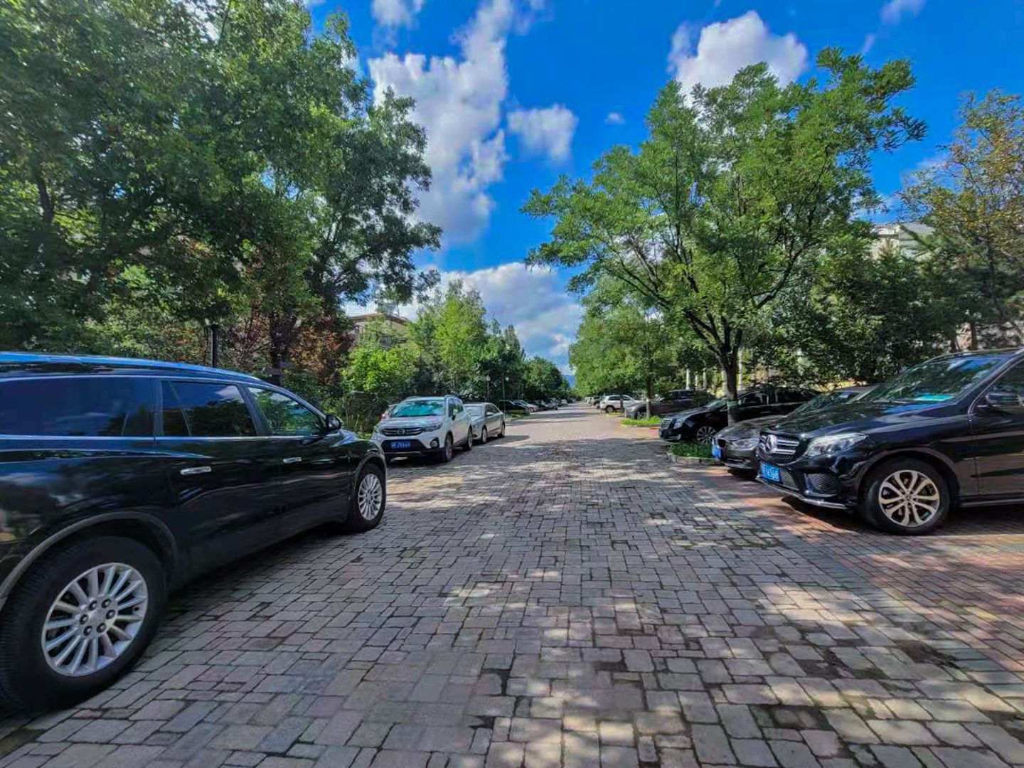 万通龙山逸墅 - Beijing property leasing for expats