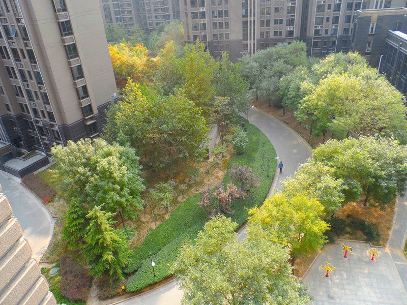 Wilshire Boulevard - beijing expat housing photo 4