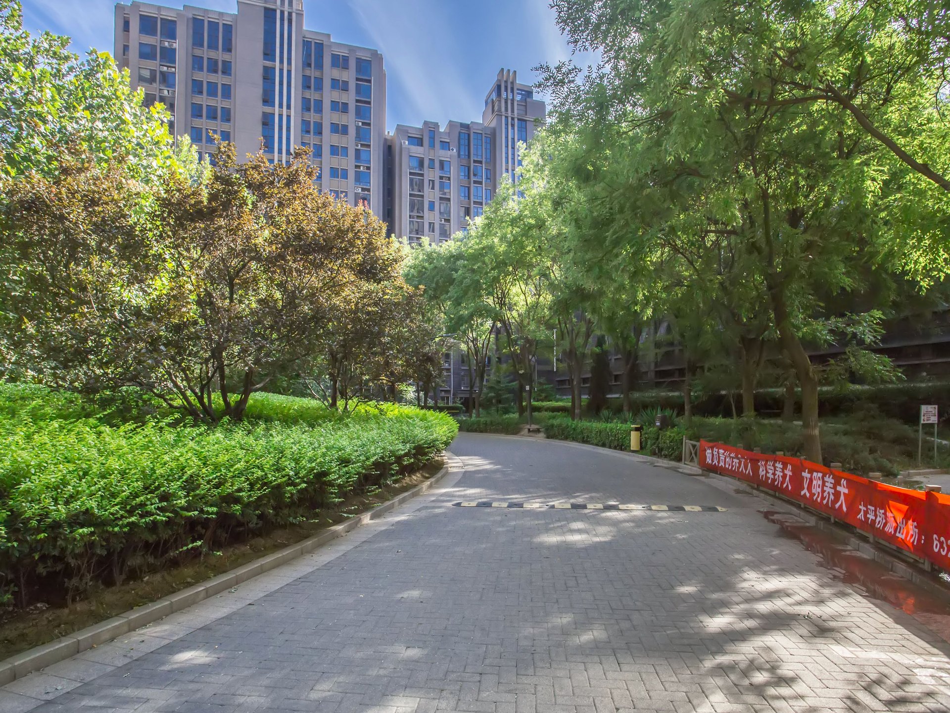 Wilshire Boulevard - beijing expat housing photo 5