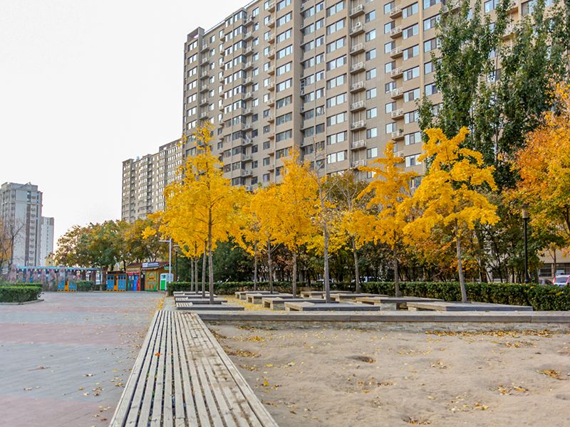Wudian Jiayuan Area A - beijing expat housing photo 8
