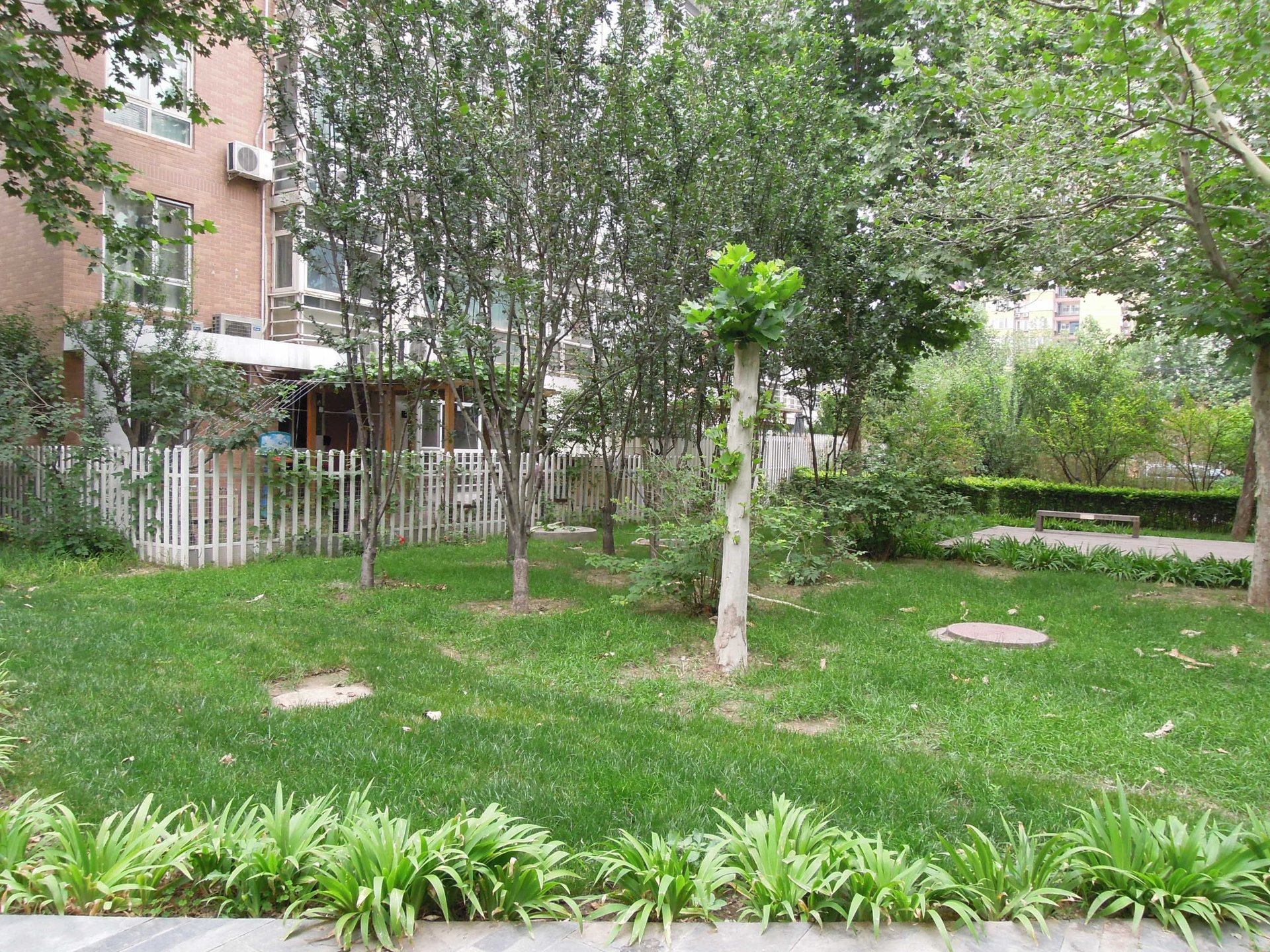 夏季星空 - Beijing property leasing for expats