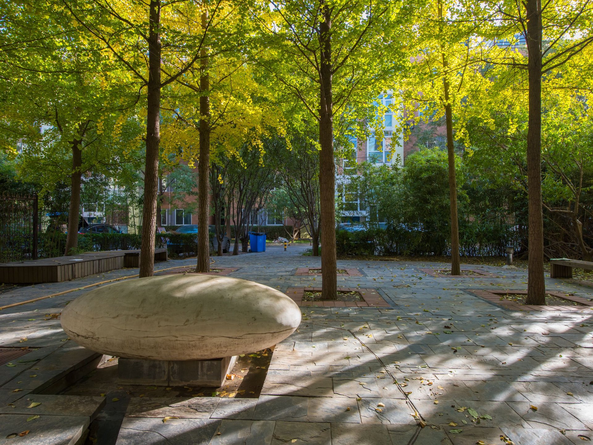 夏季星空 - Beijing property leasing for expats