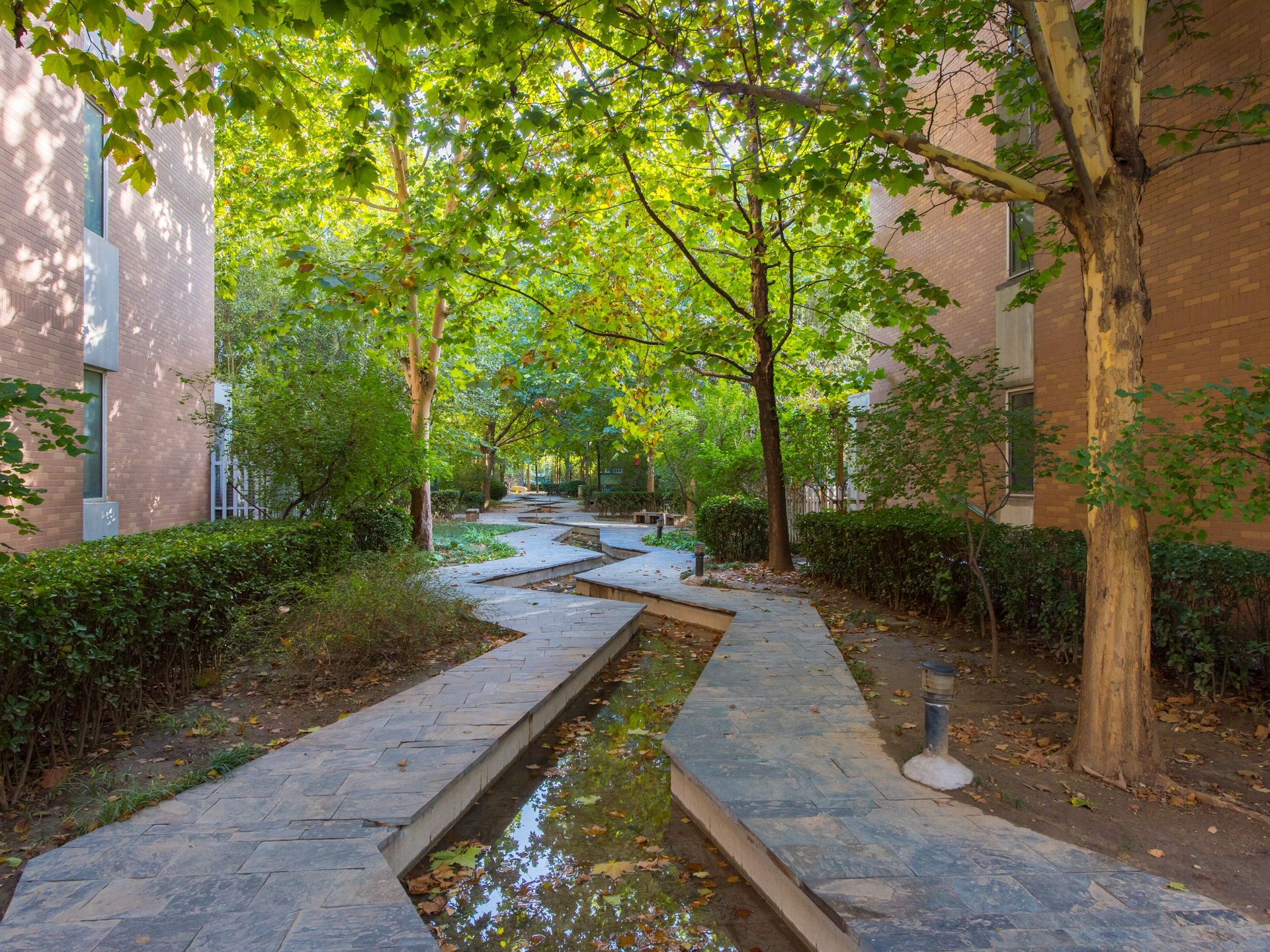 夏季星空 - Beijing property leasing for expats