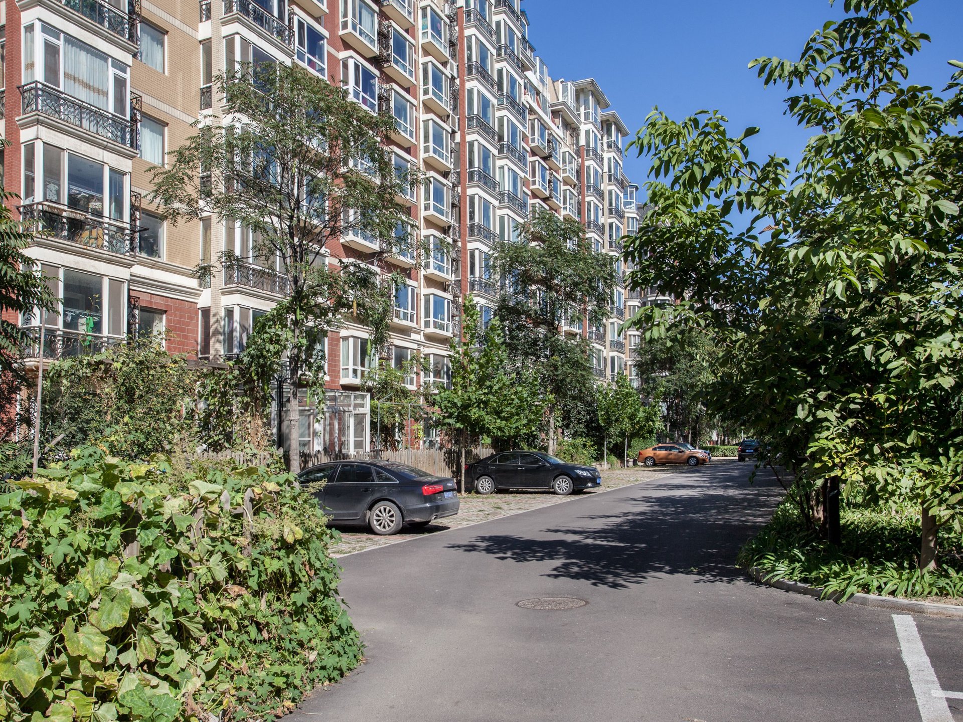 香花畦家园 - Beijing property leasing for expats