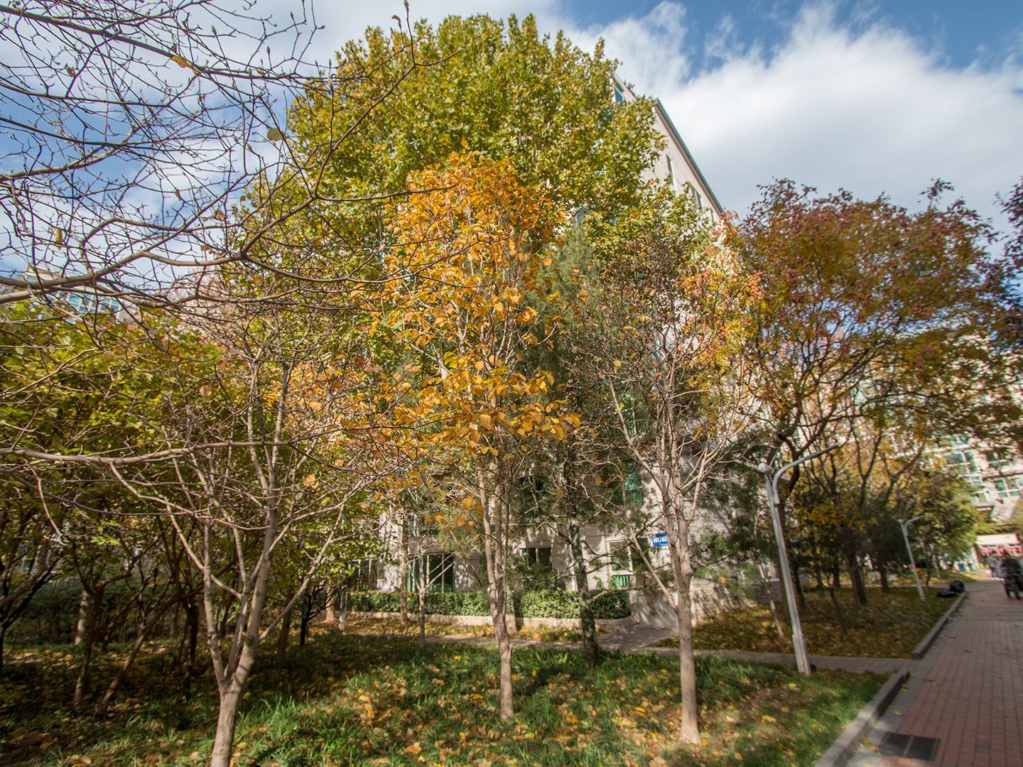 西城晶华 - Beijing property leasing for expats