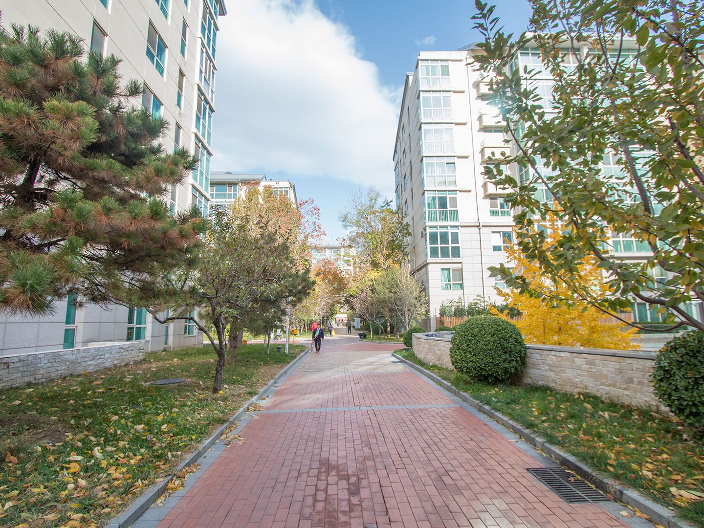 西城晶华 - Beijing property leasing for expats