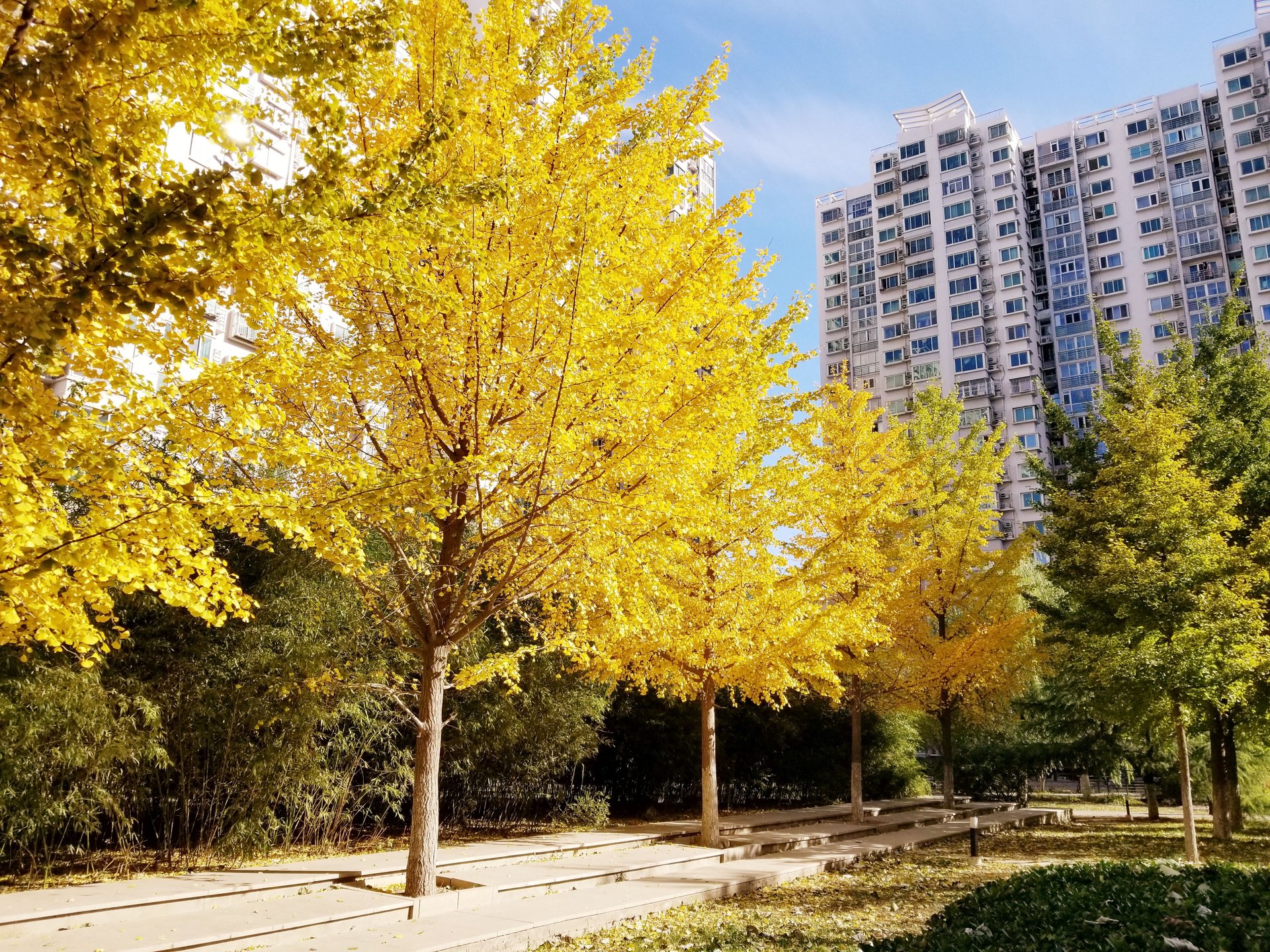 西府景园 - Beijing property leasing for expats