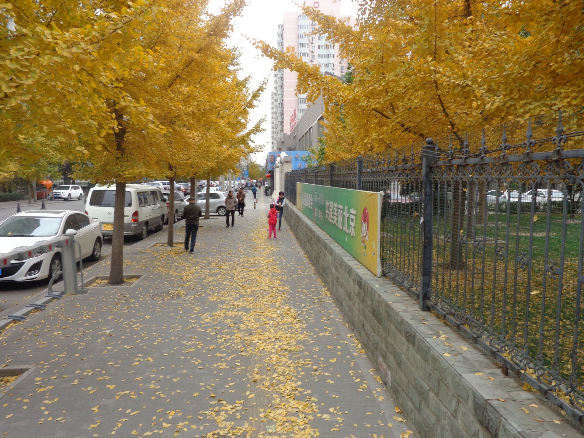 西罗园四区 - Beijing property leasing for expats