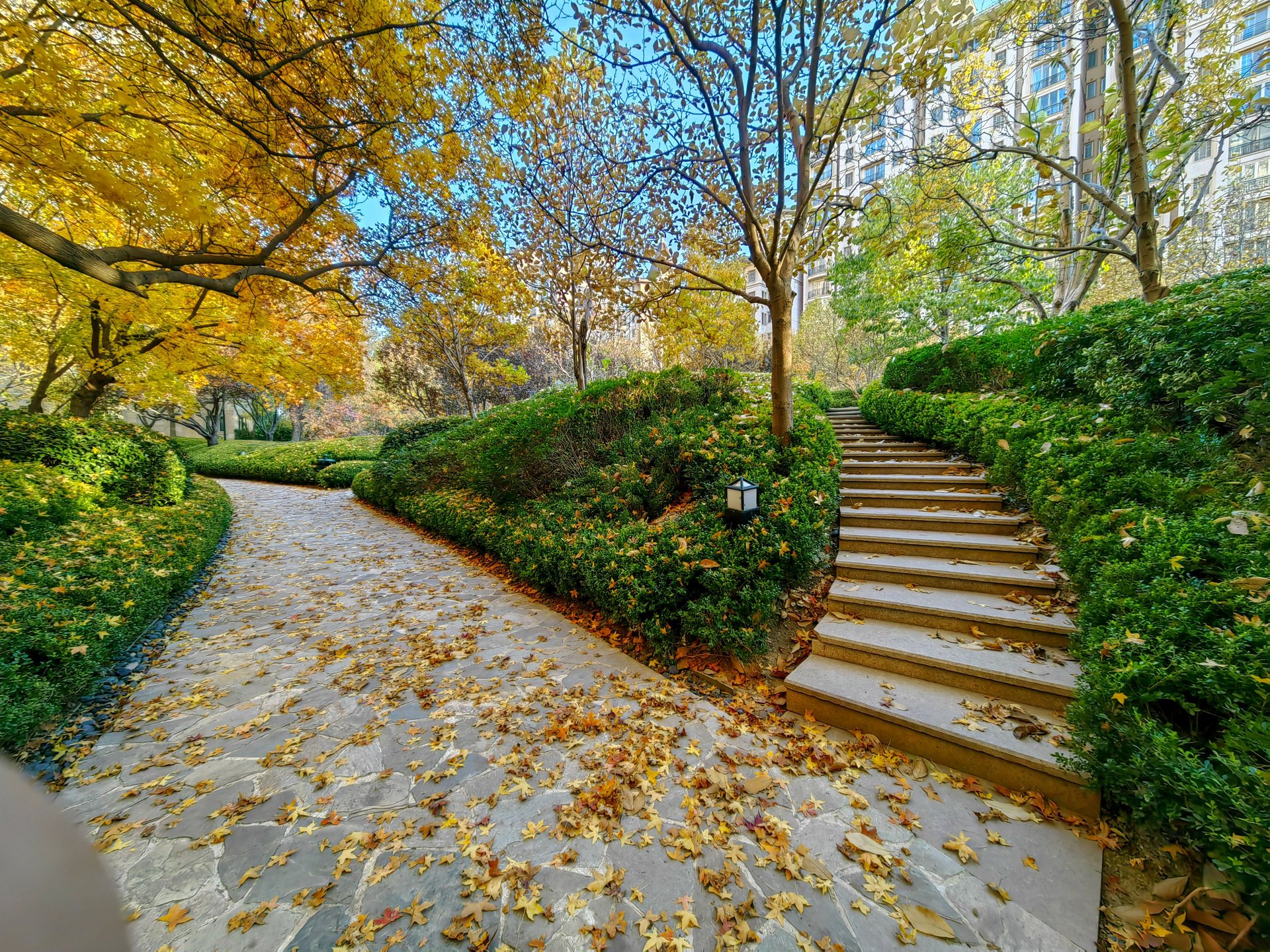 星河湾朗园 - Beijing property leasing for expats