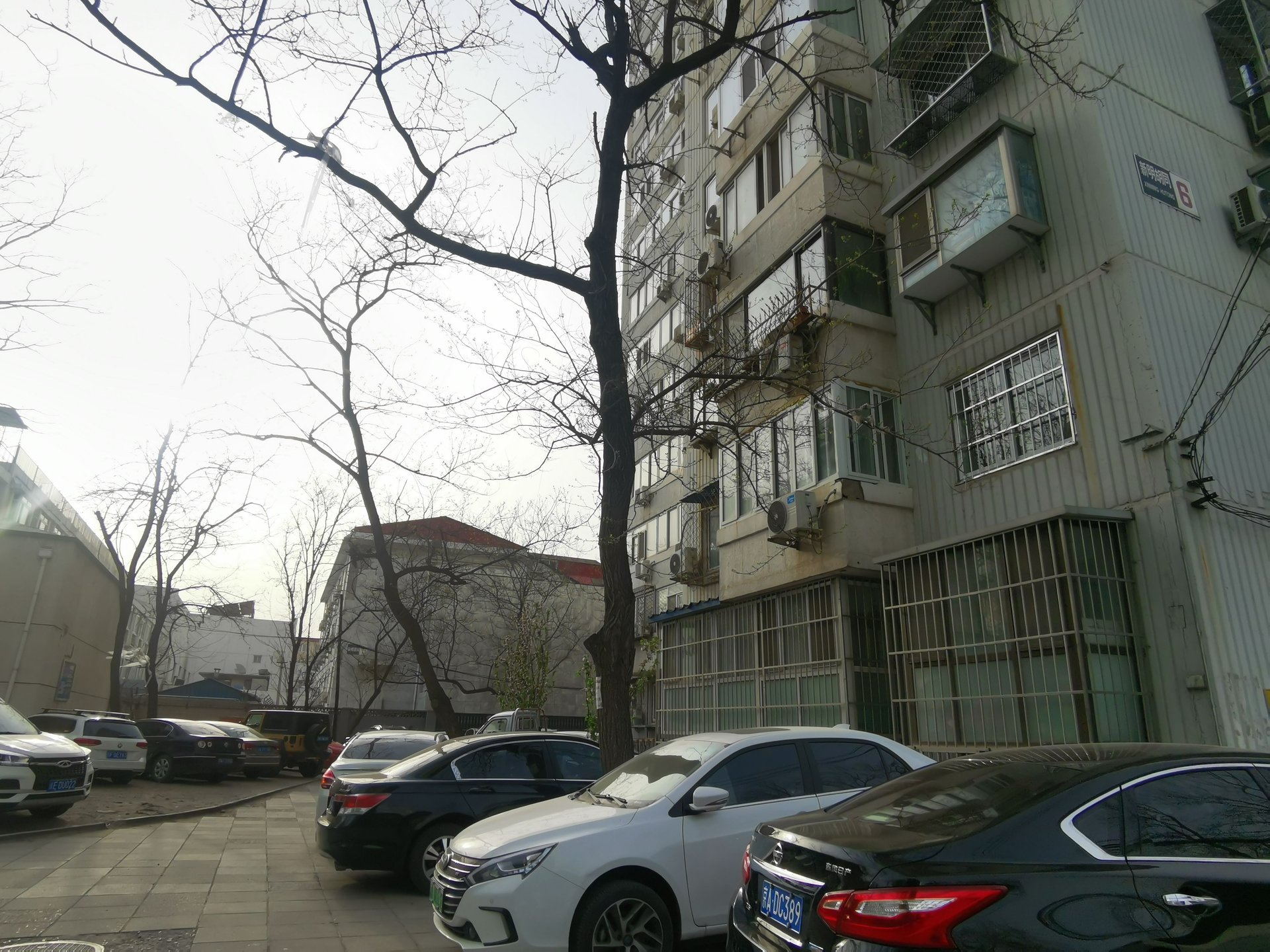 新明胡同 - Beijing property leasing for expats