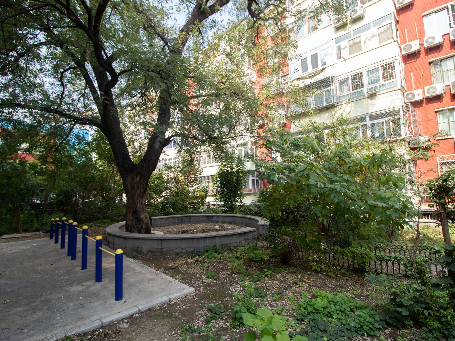 No. 55 Xizongbu Hutong Compound - beijing expat housing photo 4