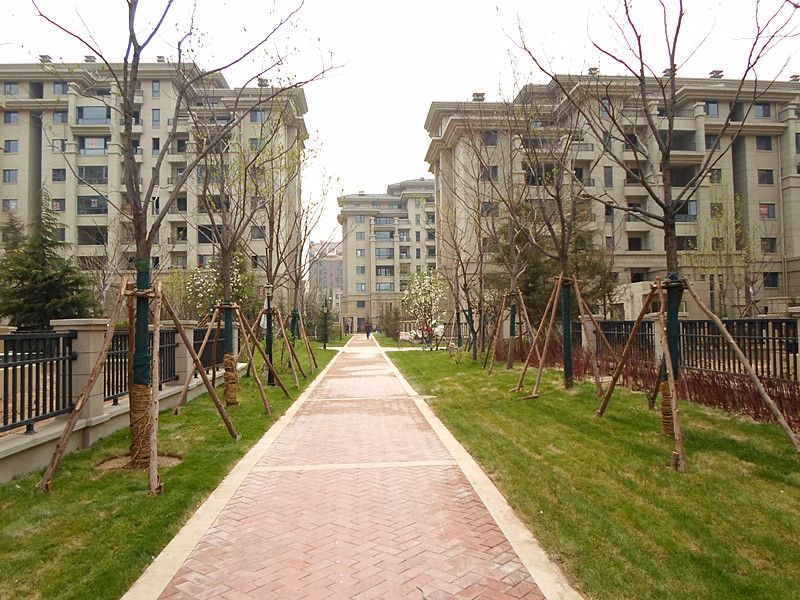 旭辉御府 - Beijing property leasing for expats