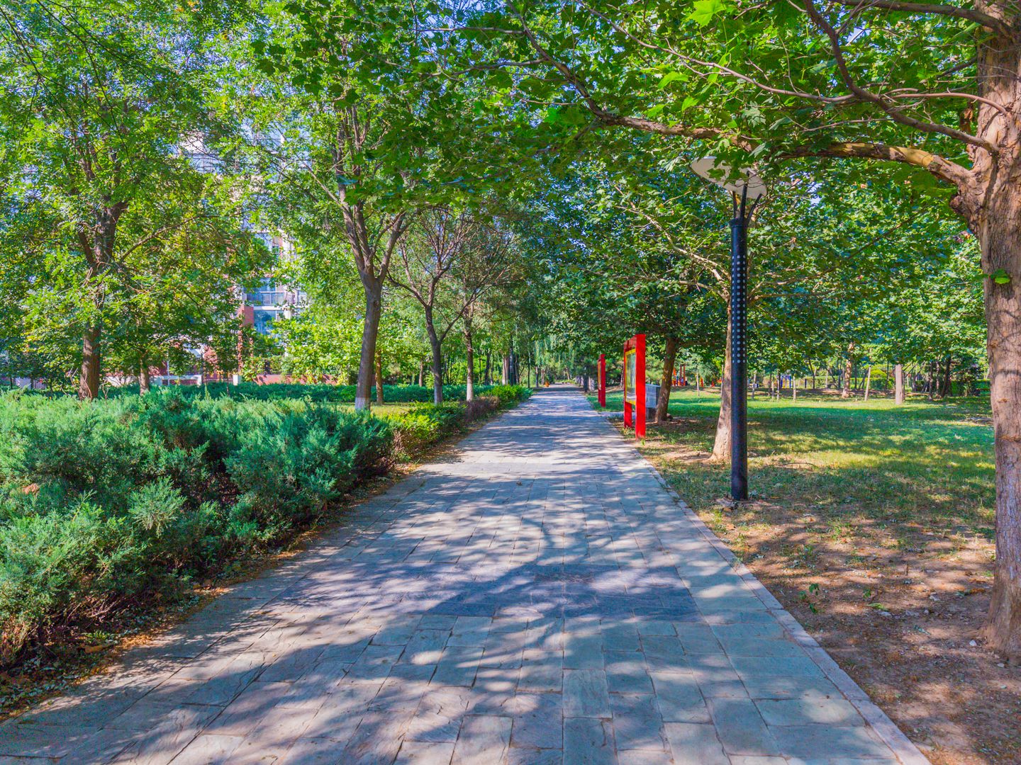 样本 - Beijing property leasing for expats