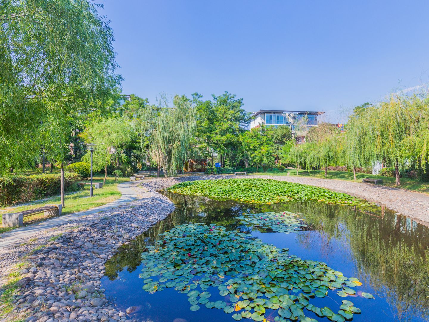 样本 - Beijing property leasing for expats